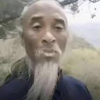 南村群童欺我老无力头像