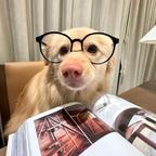 小狗说忘忘z头像