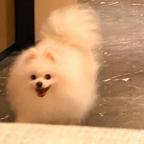 玖言头像