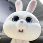你兔了莓头像