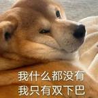 🌈🌼🐕🏝️头像