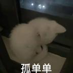 逃避头像