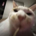 看剧不看爽不是s就是m头像