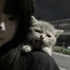 月头像