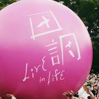 田调甜调头像
