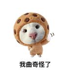 半枝源YUAN头像