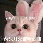 暃我扑火头像