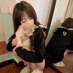 养只小猫叫萌萌头像