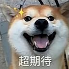 鹅螺丝辣辣头像