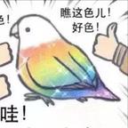 博爱的小夏头像