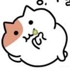 9527头像