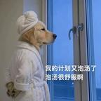 摆烂的咸鱼头像