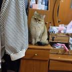 李宁玉头像