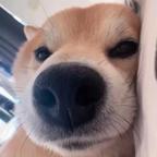 QqqqQ头像