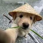 qweeyt头像