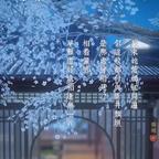 君子當如竹头像