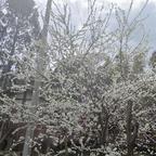 仇富小公主雨萱头像