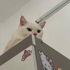 蹦迪头像