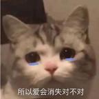 果果头像