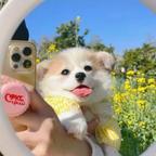 ｡◕‿◕｡呀！头像