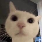 yy头像