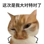 我不听头像