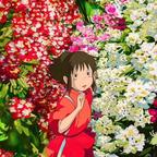 遥远的喵呜头像