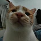 不知道头像