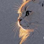 猫咪儿啊头像