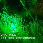 流浪者之歌头像