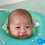 红果首席观察员头像