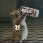 桶桶 桶桶桶～头像