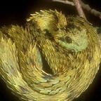 渔村隐士韩文佳头像