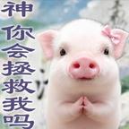 用户名13349551头像