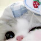 苗苗头像