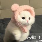恋头像