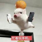 今天是个好天气头像