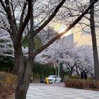 山格洞妈妈头像