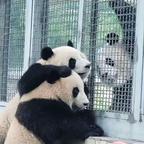 玫瑰扔进大火头像