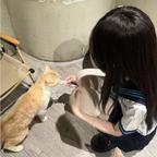听雨眠头像