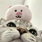 歪歪头像