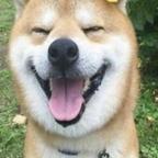 杂草加加头像