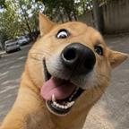 我就是爱拉屎头像