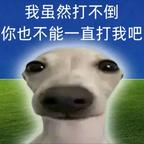 皮皮头像