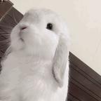 ㅤㅤㅤㅤ头像