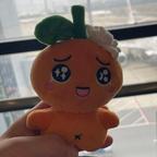 橘子皮小影🍊头像
