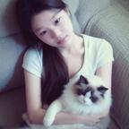猪猪侠头像