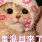 善休憩的陈可欣头像