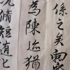 毒蛇美人江念锦头像