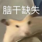 重生之我是洋芋粑头像